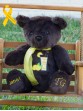 Alex | Custom teddy bear handmade to promote Childhood Cancer Awareness