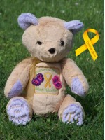 Audrianna | Teddy Bear designed for Childhood Cancer Awareness