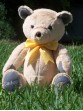 Logan | Custom Teddy Bear designed to represent awareness colors for conditions