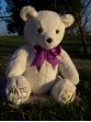 Charity | Teddy Bear stating I HATE Epilepsy for Awareness November 2012