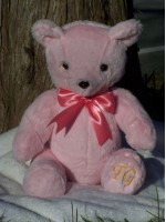 Cherry | Handmade teddy bear in the softest pink minky fur