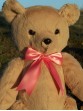 Jenny | Handmade lady teddy bear gifted to Jessica Alba