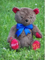 Molly | Custom Teddy Bear with cappuccino fur and accents of your choice
