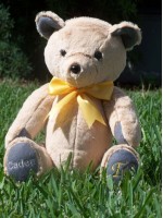 Logan | Custom Teddy Bear designed to represent awareness colors for conditions