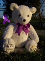 Charity | Teddy Bear stating I HATE Epilepsy for Awareness November 2012