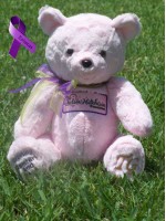 Chelsea | Teddy Bear designed for the Chelsea Hutchison Foundation