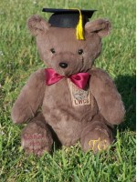 School/Graduate Bears