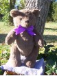 Hernando | Classic dark furred handmade teddy bear. Custom teddy bear possible