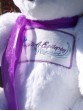 Jamie | Custom teddy bear designed for Angels4Epilepsy