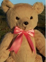 Jenny | Handmade lady teddy bear gifted to Jessica Alba