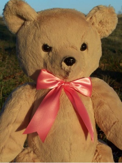 Jenny | Handmade lady teddy bear gifted to Jessica Alba