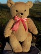 Jenny | Handmade lady teddy bear gifted to Jessica Alba