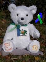 Kathi | Custom handmade teddy bear designed for The IHope Foundation supporting Intracranial Hypertension