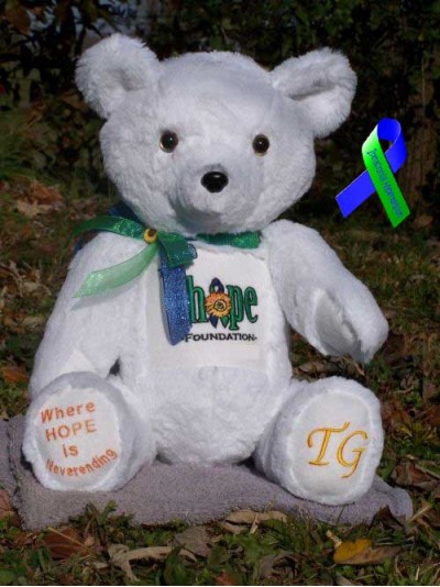 Kathi | Custom handmade teddy bear designed for The IHope Foundation supporting Intracranial Hypertension