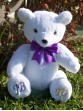 Knut | Classic white furred handmade teddy bear. Custom teddy bear possible