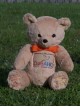 Matthew | Custom handmade teddy bear created for cureAHC - Alternating Hemiplegia of Childhood