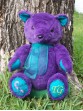 Sarah | Custom handmade teddy bear for Chiari Malformations awareness