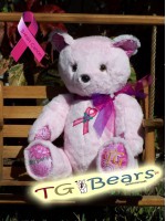 Sue | Handmade teddy bear to raise breast cancer awareness