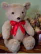 Theodore - classic handmade teddy bear