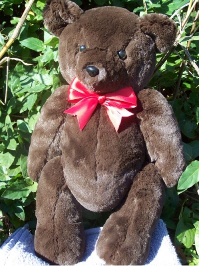 William | Handmade teddy bear in chocolate colored fur with custom text as option