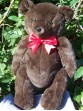 William | Handmade teddy bear in chocolate colored fur with custom text as option