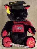Custom Graduation Bear