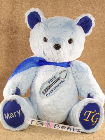 Caitlyn Bear, handmade teddy bear for POTS awareness