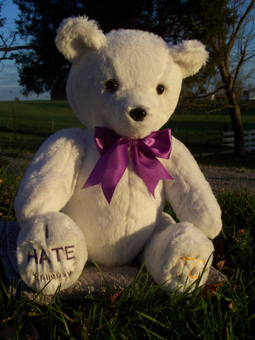 Charity Bear for epilepsy