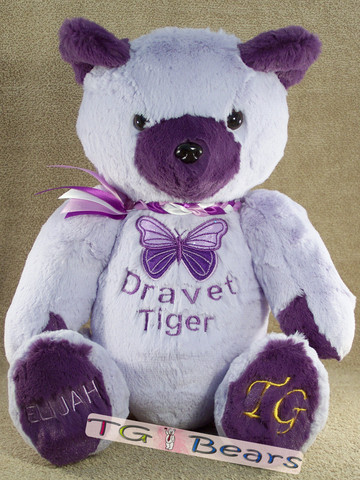 DS Hope Bear supports the Dravet Syndrome Foundation