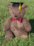 Custom handmade teddy bears for school graduates