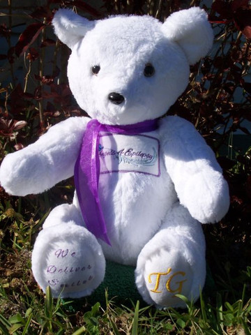 Jamie Bear, mascot for Angels4Epilepsy
