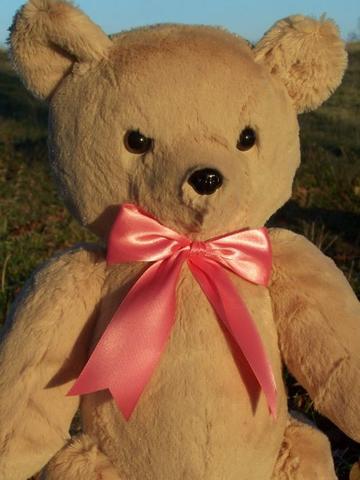 Jenny Bear is a light furred classic bear 