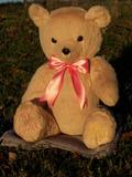 Jenny Bear can be personalized