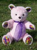 Lucy | Custom Teddy Bear designed to represent awareness colors for conditions