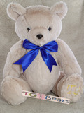 Theodore Bear with a blue ribbon